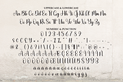 Vintage Lettering | Script Font, a Handwritten Font by Scratchones (Thumbnail 7 of 9)