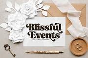Midnight Gelactic Modern Retro Serif, a Serif Font by Letterena Studios (Thumbnail 8 of 15)