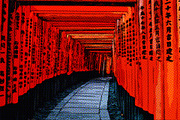 Kaisaku Halftone Illustration Effect, an Action Add-On by Dene Studios (Thumbnail 11 of 17)