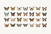 80 Vintage Butterflies Clipart, an Object Graphic by Nova Studio (Thumbnail 3 of 7)