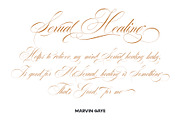 Desirable Brush Texture, a Script Font by Alcode (Thumbnail 12 of 13)
