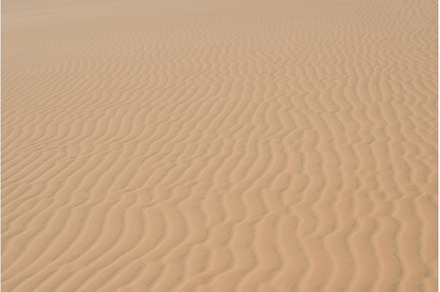 Yellow sand in the desert, Vietnam, a Nature Photo by Elizaveta Galitskaya