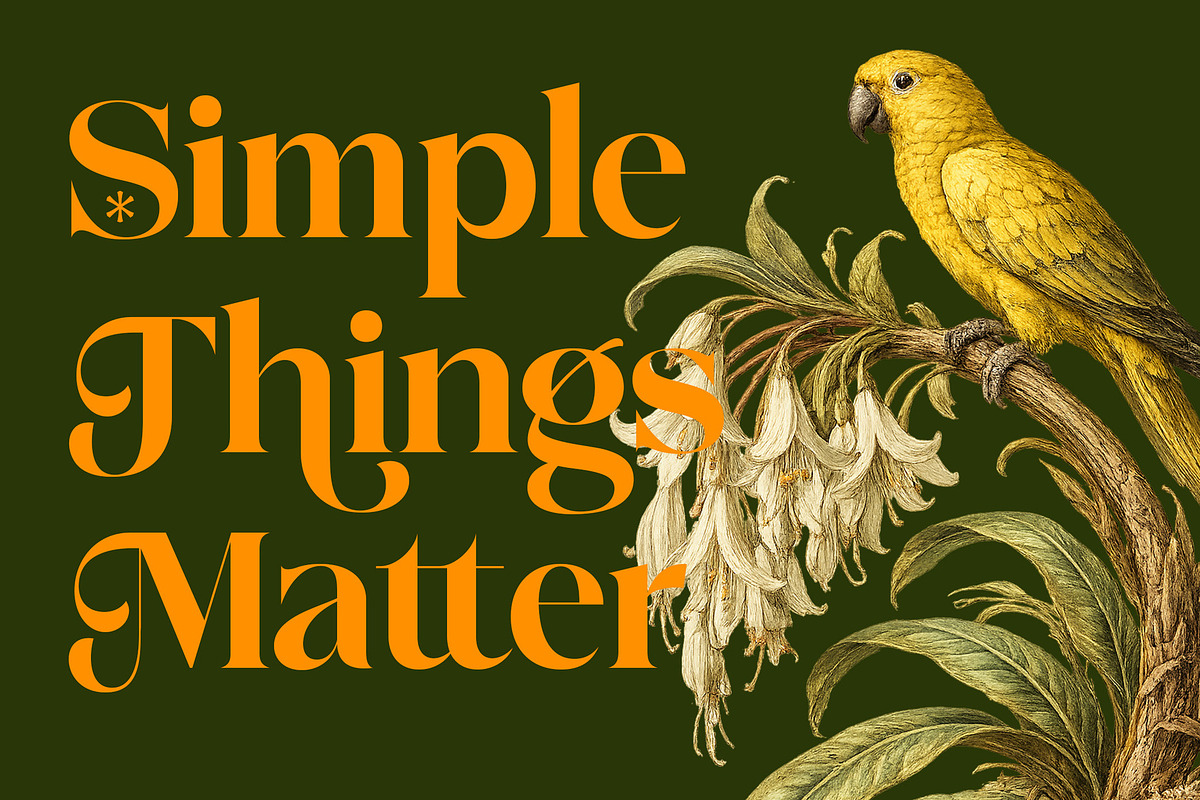 Roshine – Elegant Vintage Serif Font, a Serif Font by Vampstudio (Photo 3 of 12)