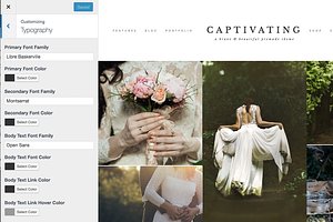 Captivating Wordpress Theme