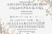 Radiant | Script Font, a Handwritten Font by Scratchones (Thumbnail 7 of 9)