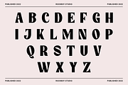 Meltano - Bold Sans Serif, a Sans Serif Font by RockboyStd (Thumbnail 9 of 12)