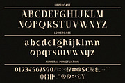Casthelic - Elegant Serif Typeface, a Serif Font by Dryy.type (Thumbnail 10 of 11)