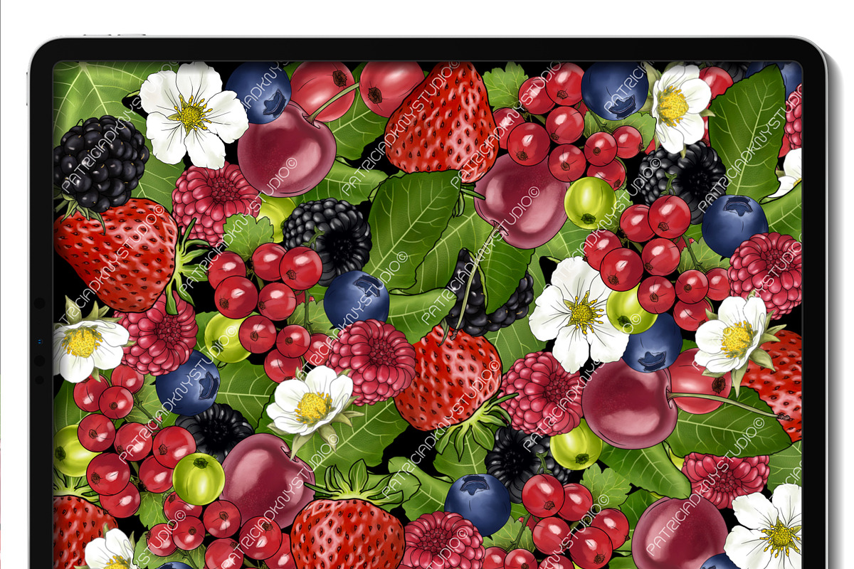 Procreate fruit stamp brushes, a Brush Add-On by PDknyStudio