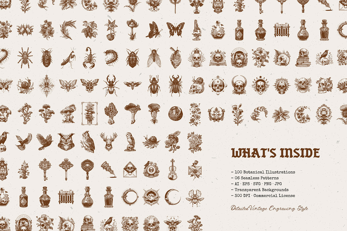 Dark Academia Autumn | Illustration, an Object Illustration by KetteCreate (Photo 4 of 18)