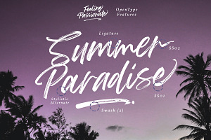 Feeling Passionate - Brush Font