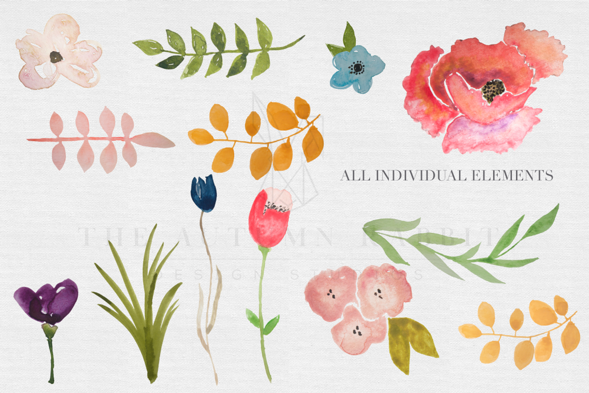 Watercolor Flower Clipart Set, an Illustration by The Autumn Rabbit Ltd (Photo 2 of 2)