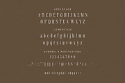 Taska Serif Display, a Serif Font by Hishand Studio (Thumbnail 8 of 10)