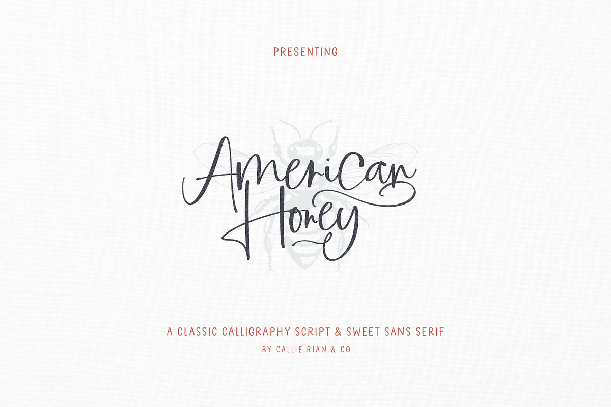 American Honey | Script & Sans, a Font by Callie Rian & Co. (Photo 1 of 27)