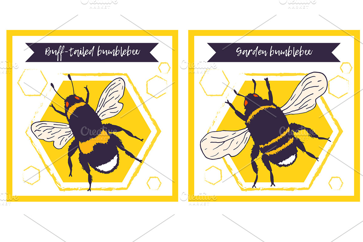Bees set, illustrations + patterns, an Animal Illustration by OKart.studio (Photo 2 of 6)