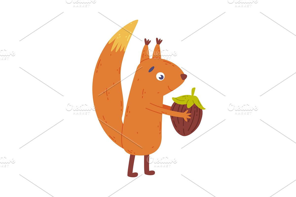 Adorable squirrel holding hazelnut, an Animal Illustration by TopVectors