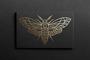 16 Insect symbols and 4 Patterns, an Outline Icon by Anna Smirnova (Thumbnail 10 of 12)
