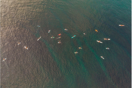 Surfers on the waves in the ocean, a Sports & Recreation Photo by Elizaveta Galitskaya