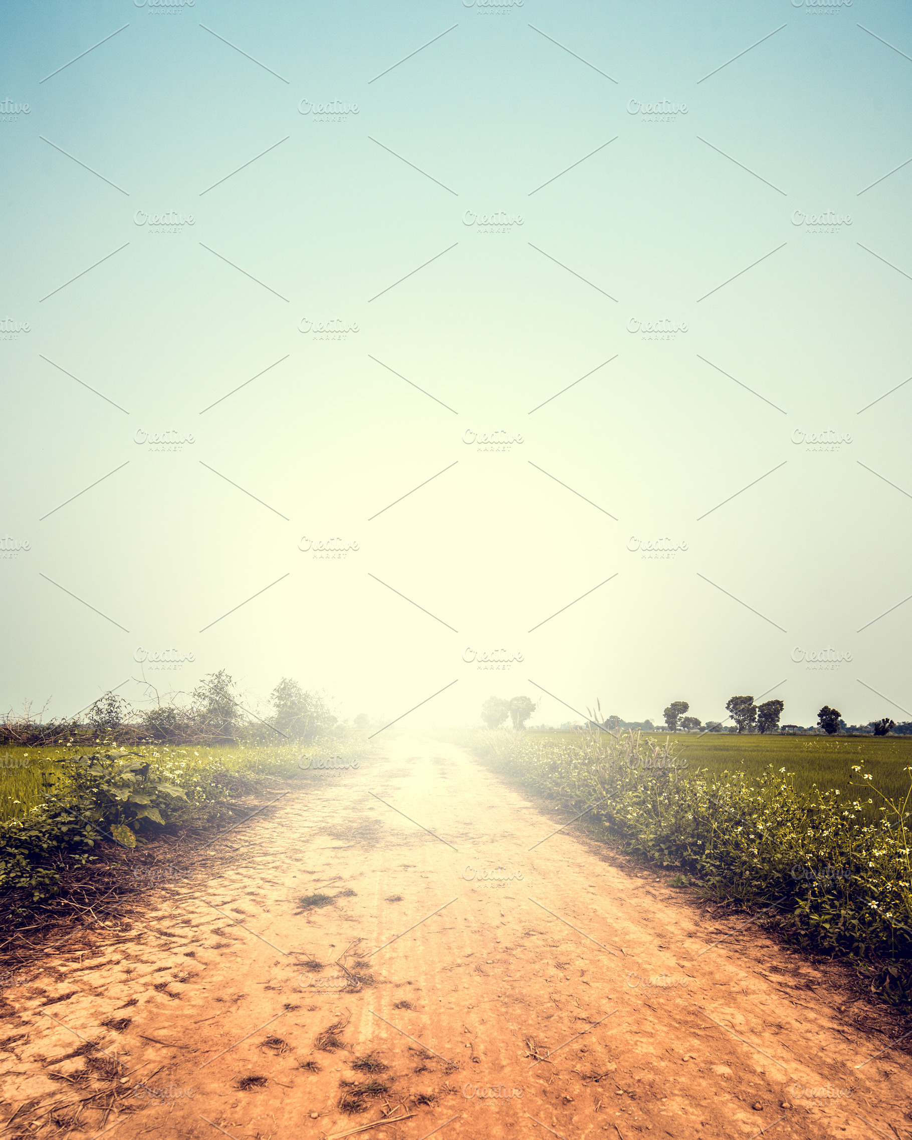 Landscape of road way in summer, a Background Photo by jakkapan