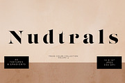 Neutral Watercolor Gradient Textures, a Texture Graphic by Fire Spark Studio (Thumbnail 1 of 8)
