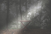 Light Shaft Lightroom Presets, a Plug-in Add-On by Click Click Studio (Thumbnail 5 of 10)