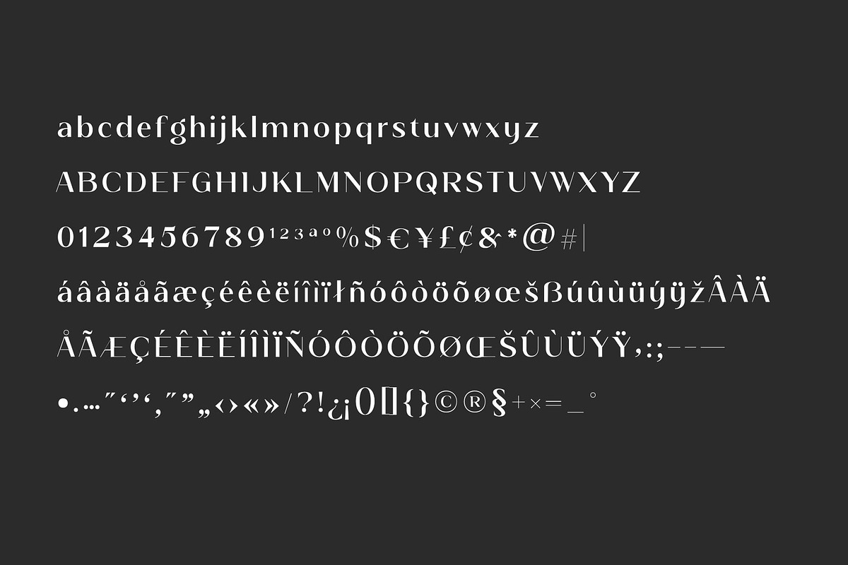 Giggity Elegant Sans Serif, a Sans Serif Font by typeflair (Photo 6 of 6)