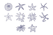 Breeds Starfish Hand-Drawn Vol. 2, an Animal Illustration by SLAB! Design (Thumbnail 3 of 3)