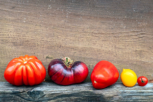 Different tomatoes lined up, a Food & Drink Photo by BOOCYS