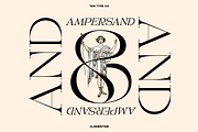 TAN - CLEMENTINE, a Serif Font by TanType (Thumbnail 13 of 20)