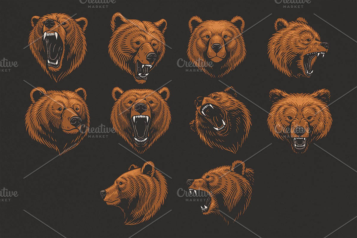 Bear Illustrations Hand-Drawn Vector, an Animal Illustration by Trape Graphic Studio (Photo 4 of 10)