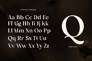 Fashion Luxury Serif Brand - Cekona, a Serif Font by Font Liner (Thumbnail 10 of 11)