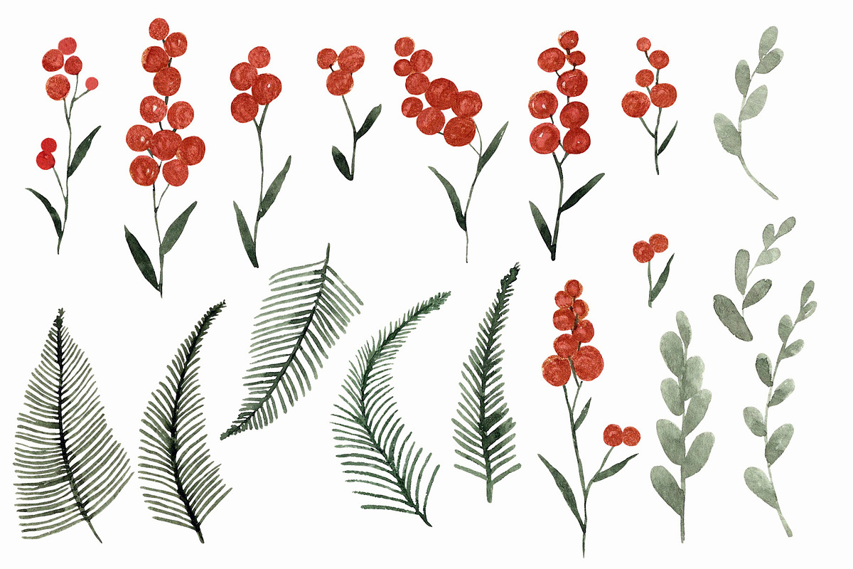 Watercolor berries, a Decorative Illustration by Katia Serdiuk (Photo 5 of 5)