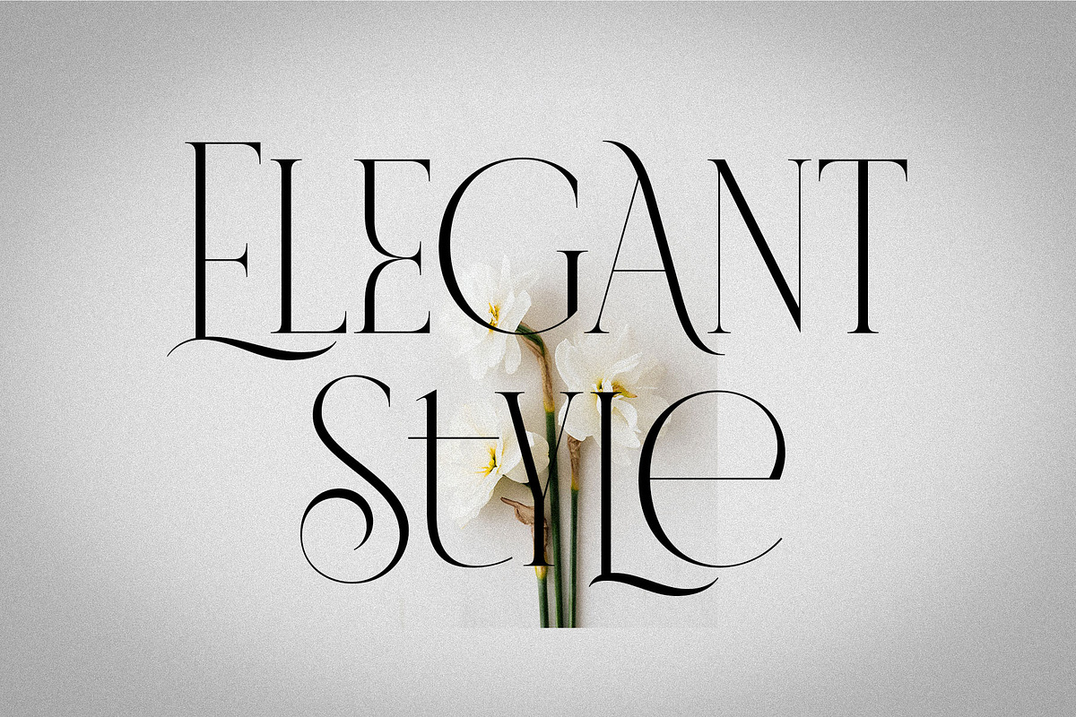 VERNICE LEMANS, a Serif Font by NYDESIGN (Photo 10 of 10)