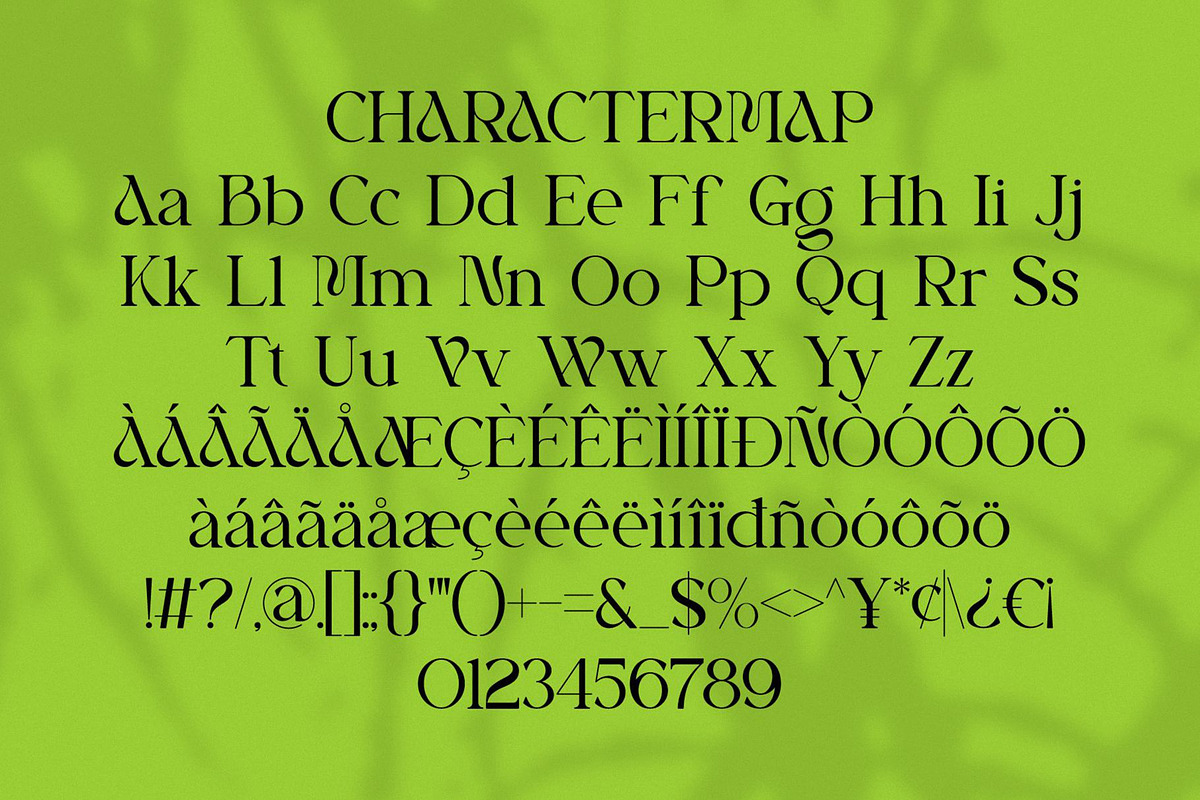 Brilega Fadone | Modern Classy Serif, a Serif Font by Ermedia Studio (Photo 10 of 10)