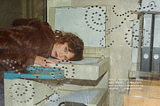 Soft Steel Studio Collage Silver Kit, an Object Graphic by Lidberia (Thumbnail 4 of 14)