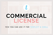 DolceVita - templett & corjl license, a Script Font by Blessed Print (Thumbnail 13 of 13)