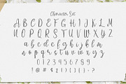 Amelia Sani - Handwritten Font, a Script Font by StringLabs (Thumbnail 10 of 12)