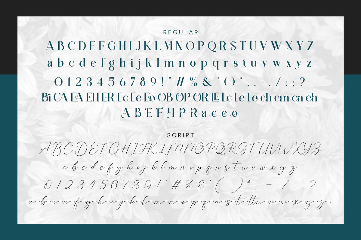 Loreal Shilone - Font Duo, a Serif Font by Idea Studio (Photo 12 of 13)