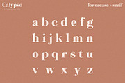 Calypso // A Modern Font Duo, a Serif Font by Megs Lang (Thumbnail 8 of 18)