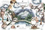 Cute forest owl. Wildlife watercolor, an Animal Illustration by Ann Art Houze (Thumbnail 2 of 10)