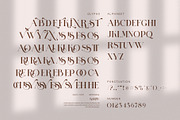 Karid Elegant Serif Font, a Serif Font by Perfectype (Thumbnail 7 of 8)