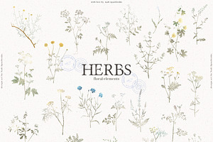 HERBS Botanica & Glitter Effect