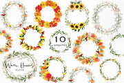 Warm flowers, an Illustration by Skliarova (Thumbnail 10 of 12)