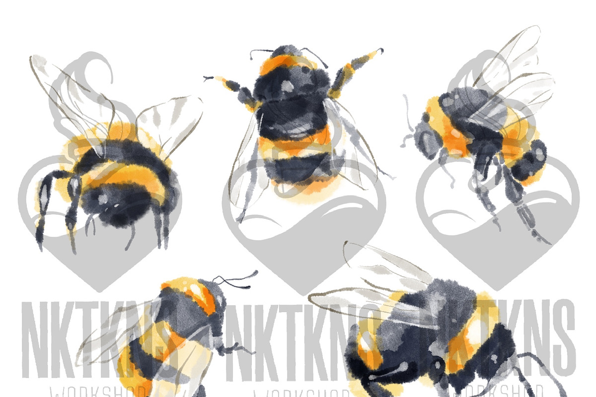 Watercolor Bumble bee clipart., an Illustration by NKTKNS (Photo 2 of 5)