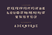 Tropikana Monoline Vintage Typeface, a Serif Font by Creatype Studio (Thumbnail 9 of 9)