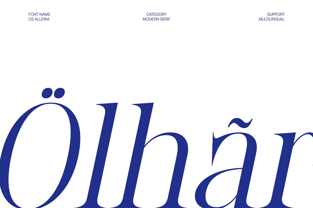 CS Aludra – Modern Serif Font, a Serif Font by Craft Supply Co. (Photo 7 of 8)
