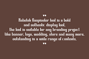 Rabelok Gaspisofer, a Serif Font by QR Design Studio (Thumbnail 6 of 9)