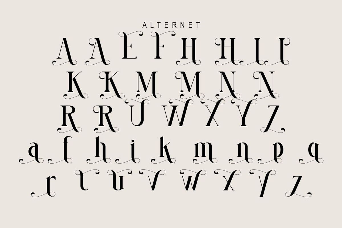 Megumi, a Serif Font by Kenrichi (Photo 8 of 10)