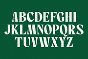 Gallile - Display Serif Font, a Serif Font by Haps Space (Thumbnail 4 of 13)