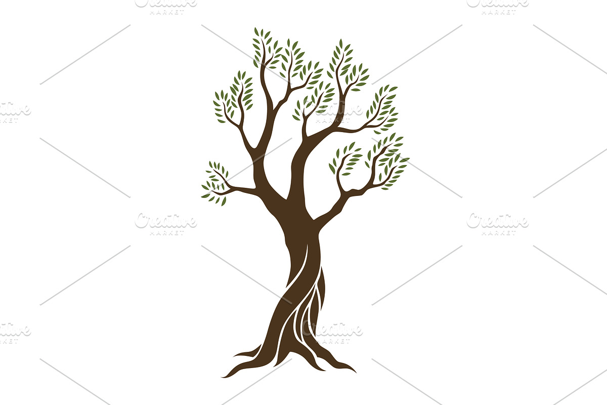 Olive trees with branches and, a Food Illustration by Things for designers