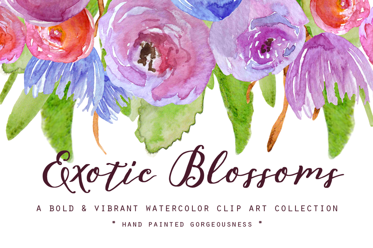SALE! HUGE Watercolor Flower Bundle, an Illustration by Emerald & Ivy Studios (Photo 20 of 23)
